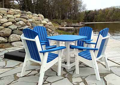 Dining Chairs with Dining Table